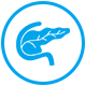 Pancreatic
